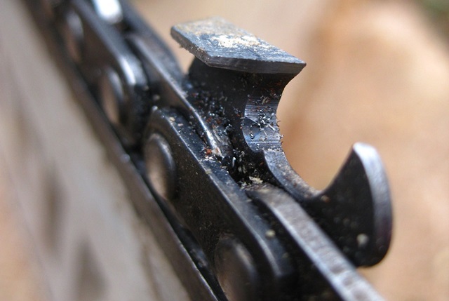Garden and Outdoor Tools