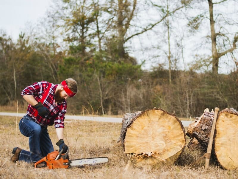 man-cutting-trees-using-chainsaw