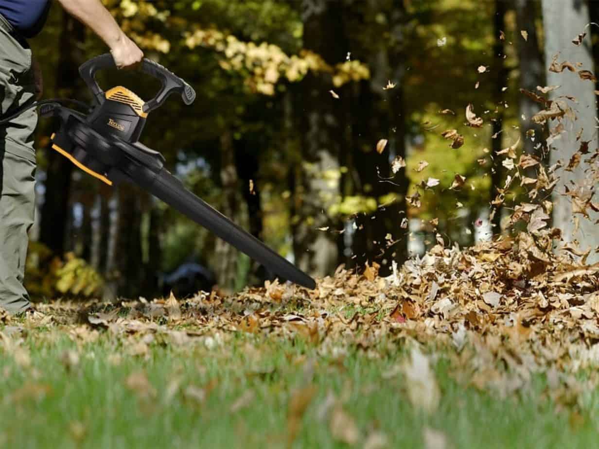 5 Best Walk Behind Leaf Vacuum Mulchers in 2024 [Detailed Reviews]