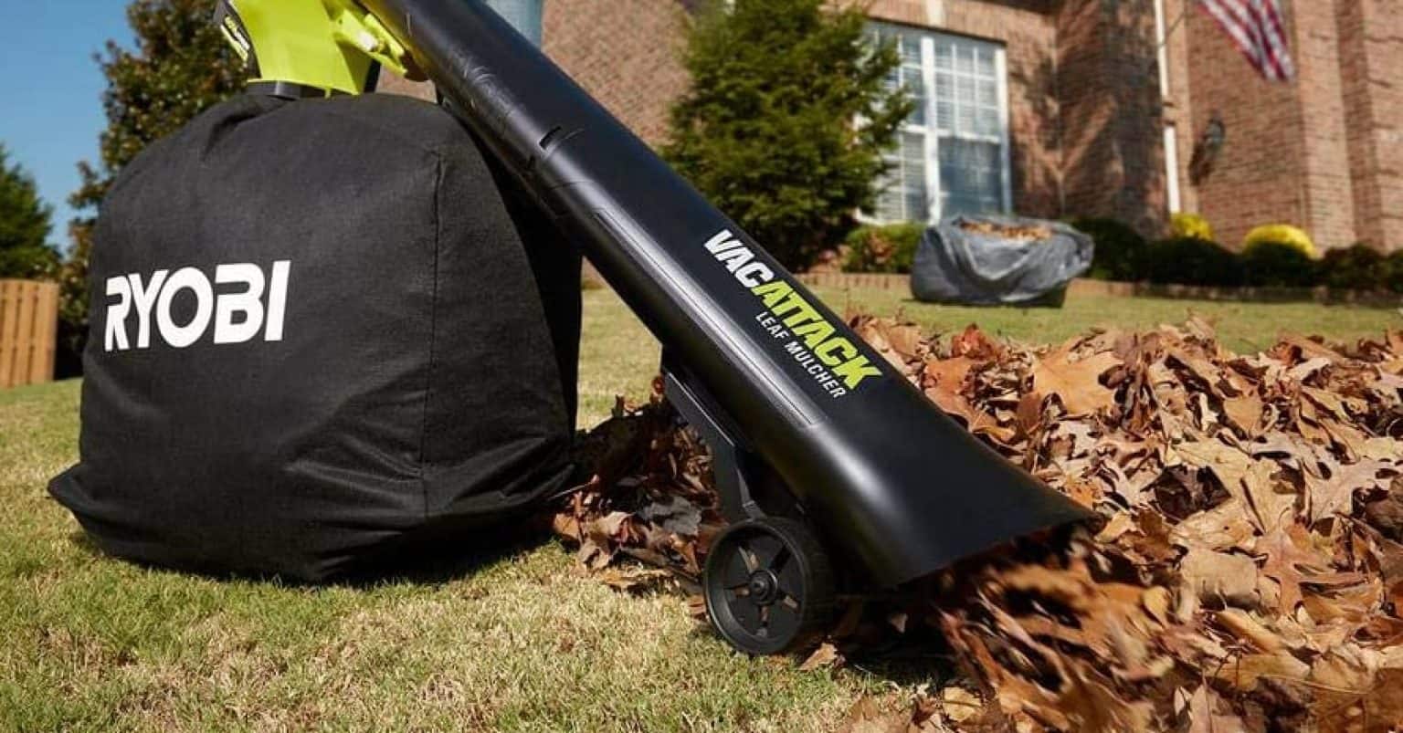6 Best Cordless Leaf Vacuums in 2024 [Detailed Reviews]