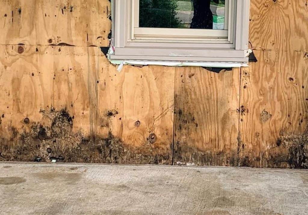 How to Waterproof Plywood Simple and Effective Tips