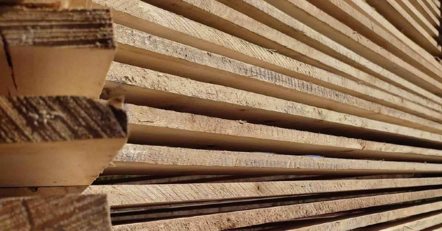How to Dry Wood Fast for Woodworking 3 Methods That Work