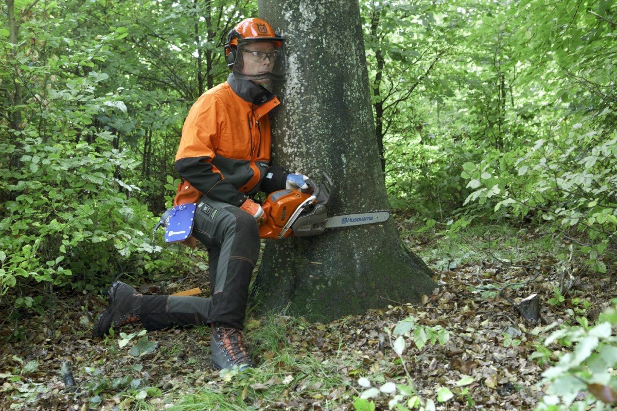 Man preparing to cut on a tree