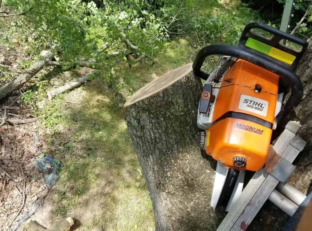What Size Chainsaw Do I Need Tools n Goods