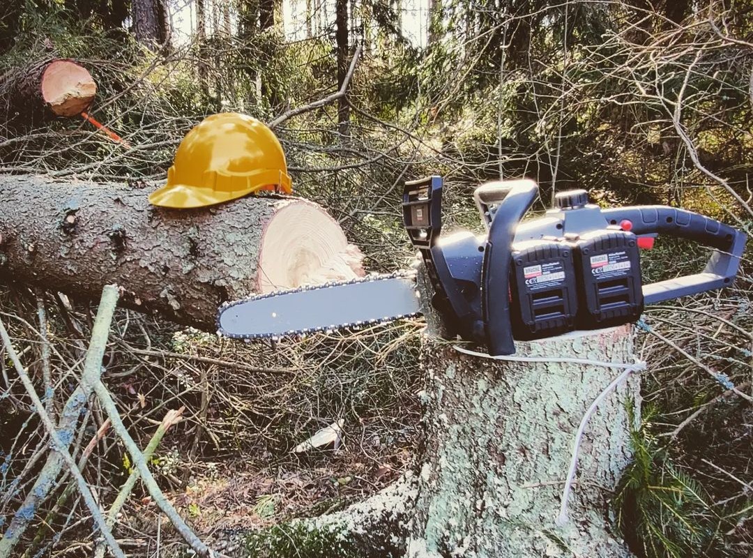 Electric chainsaw lying on a cut down tree
