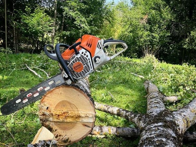 5 Best Chainsaw for Firewood in 2024 [Detailed Reviews] Tools n Goods