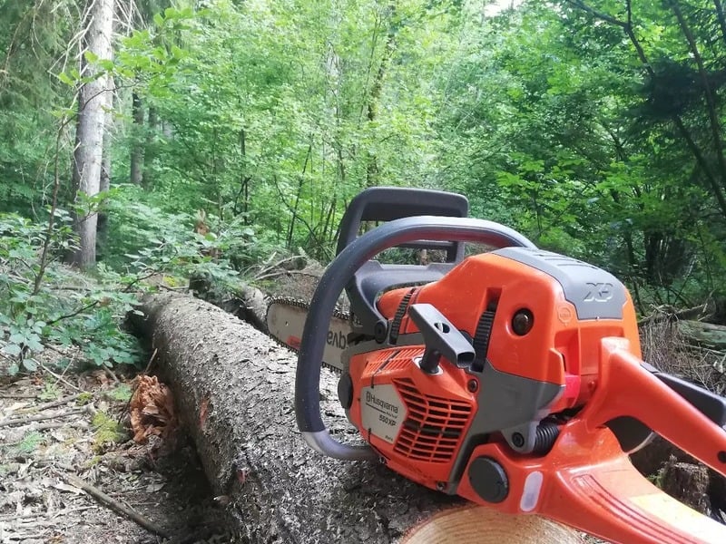 Heavy Chainsaw In the Forest