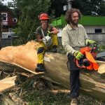 Man and girl work with Oregon chainsaw