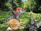 5 Best Chainsaws for Firewood to Buy in 2024