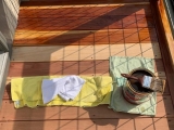 Deck Sealing vs Staining – Which is the Better Option?