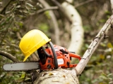 What Size Chainsaw Do I Need: Expert Advice