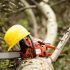 How to Choose a Chainsaw Oil Substitute: Expert Advice